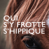 Pronostics Quinté
