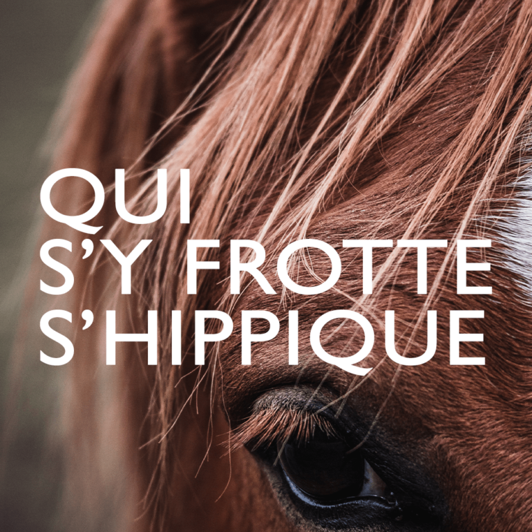 qui s'y frotte s'hippique Tom Kazak